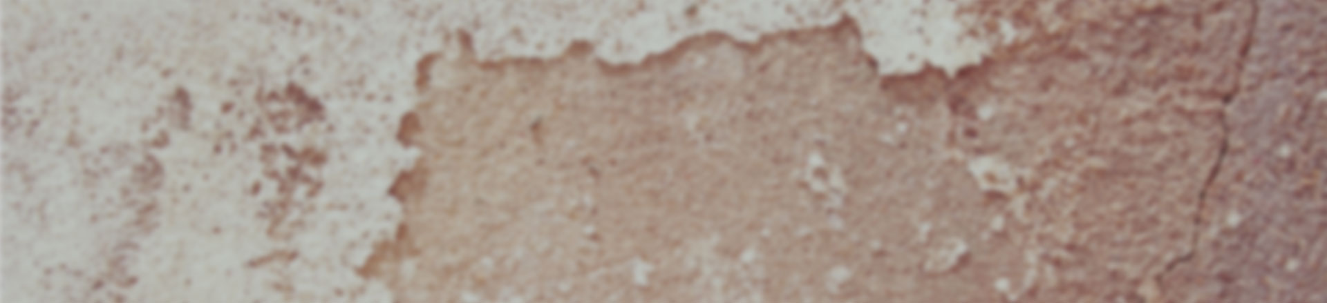 cc攻击免费网页版